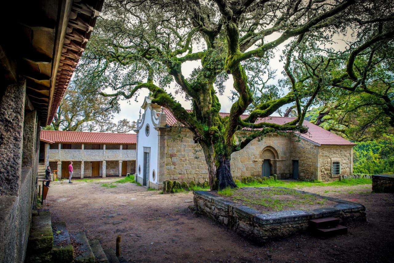 וילה נובה דה סרביירה Casa Da Vila Cerveira מראה חיצוני תמונה